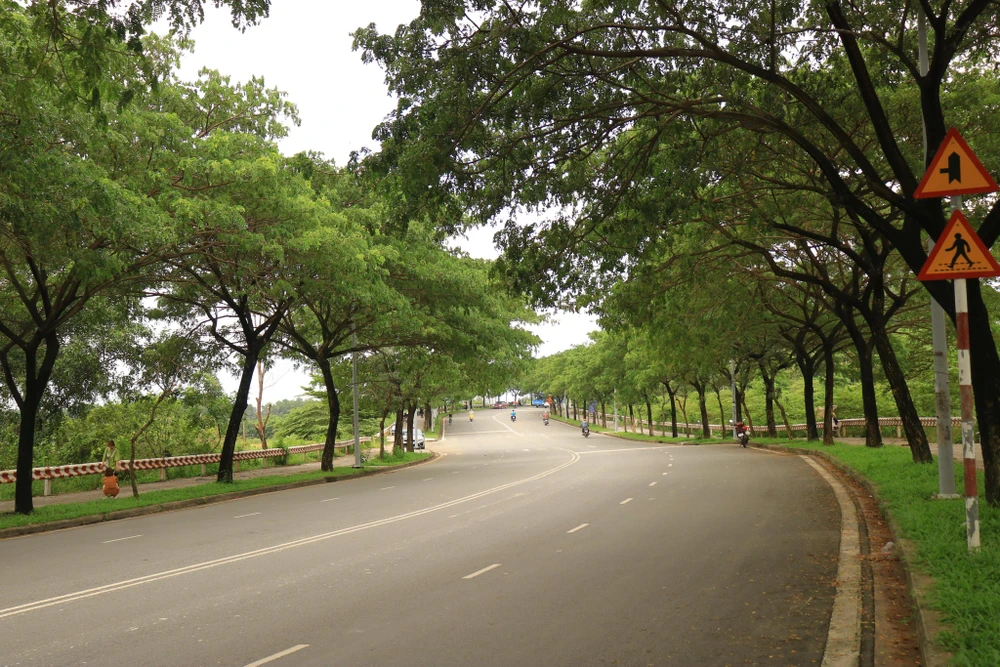 Con đường “thơ mộng” ở làng đại học được săn đón thời gian gần đây. Ảnh VÕ THƠ