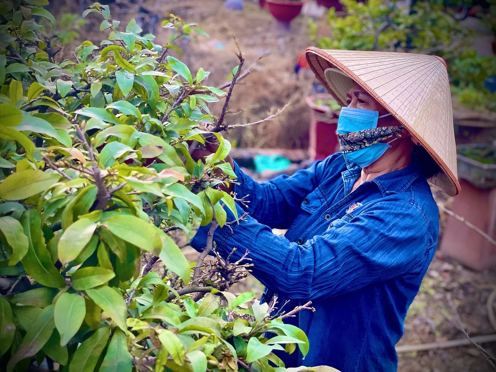 Đa phần người làm nghề lặt lá mai là phụ nữ vì công việc đòi hỏi sự tỉ mỉ, khéo léo. Ảnh: TÚ NGÂN