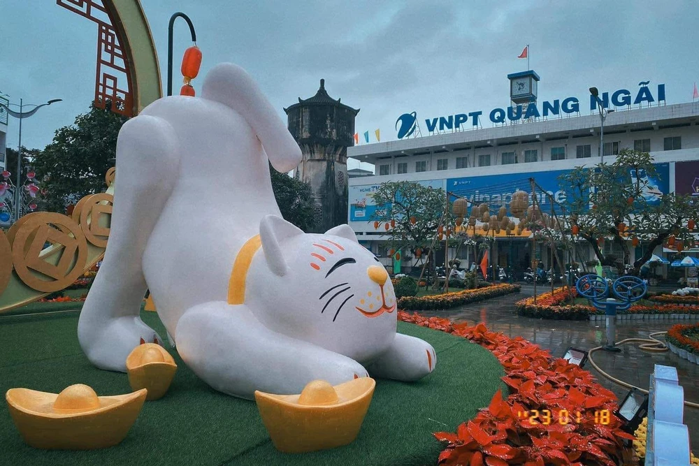 Chú mèo ngộ nghĩnh tại Quảng Ngãi.