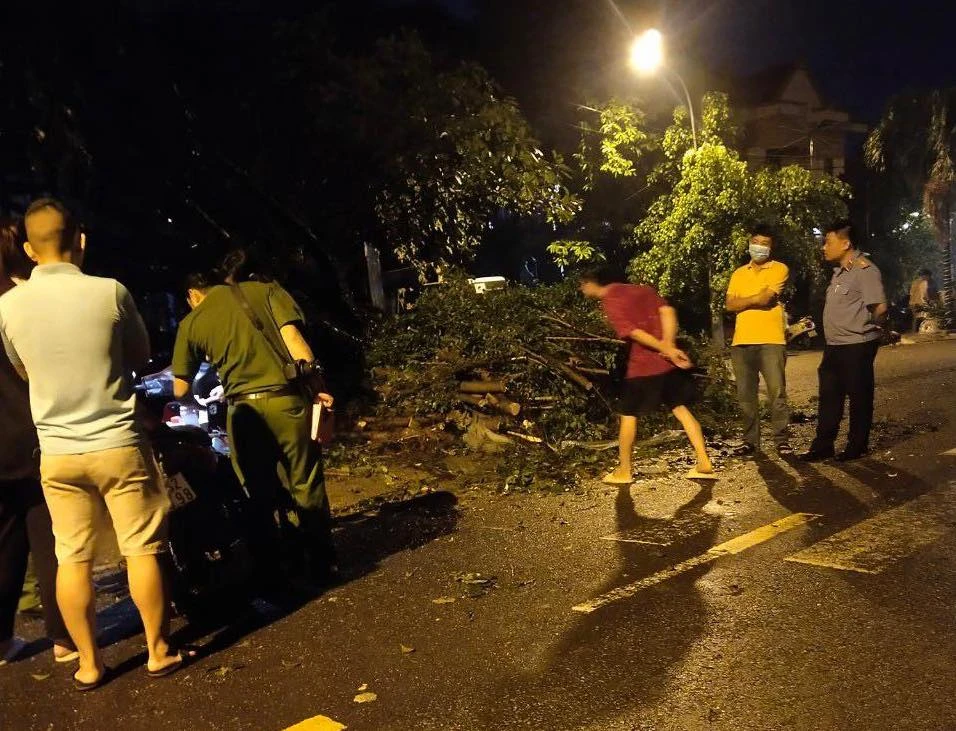 Hiện trường vụ việc cây xanh bật gốc khiến ông Chấn tử vong. Ảnh: CM