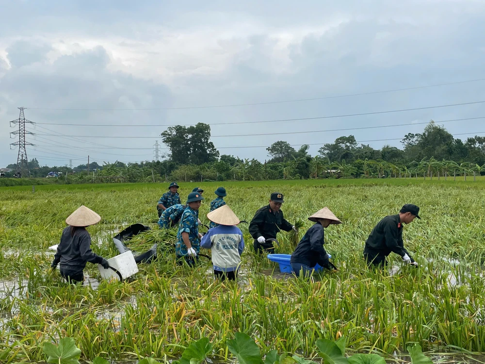 Bo-doi-ten-lua-va-canh-sat-co-dong-giu-dan-thu-hoach-lua-mua-chay-lu-10.jpg