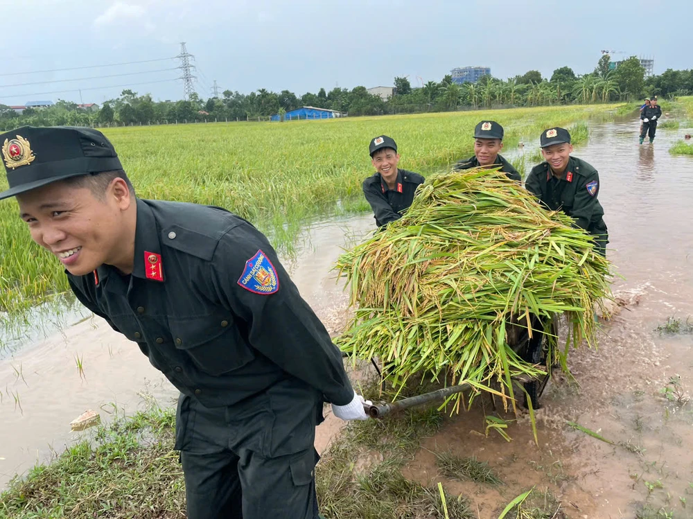 Bo-doi-ten-lua-va-canh-sat-co-dong-giu-dan-thu-hoach-lua-mua-chay-lu-11.jpg