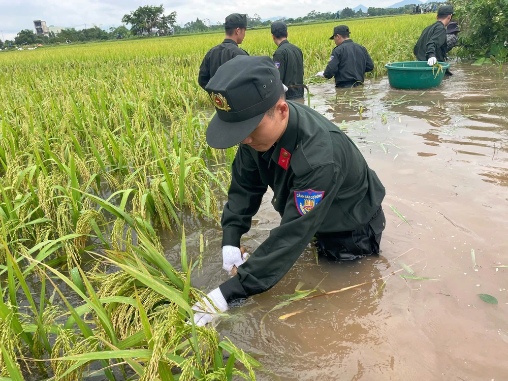 Bo-doi-ten-lua-va-canh-sat-co-dong-giu-dan-thu-hoach-lua-mua-chay-lu-13.jpg