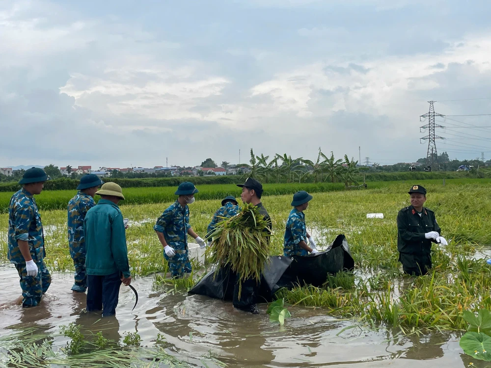 Bo-doi-ten-lua-va-canh-sat-co-dong-giu-dan-thu-hoach-lua-mua-chay-lu-5.jpg
