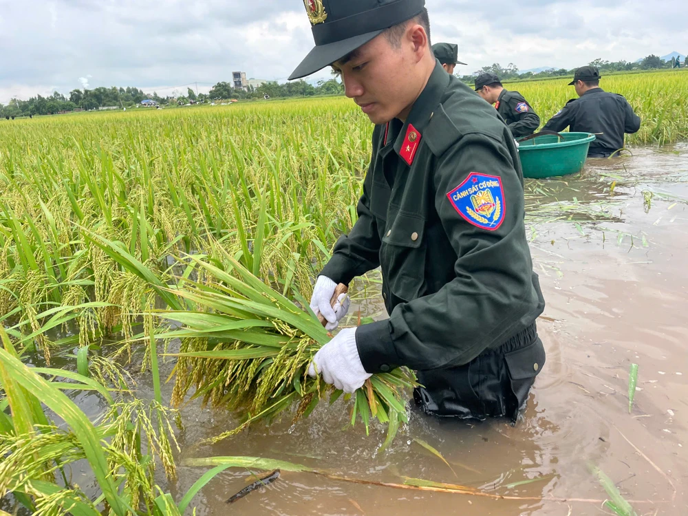 Bo-doi-ten-lua-va-canh-sat-co-dong-giu-dan-thu-hoach-lua-mua-chay-lu-6.jpg