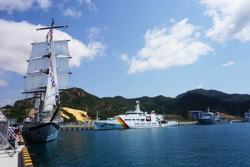 Cảng quốc tế Cam Ranh sẽ tiếp nhận tàu tải trọng 110.000 DWT ảnh 3