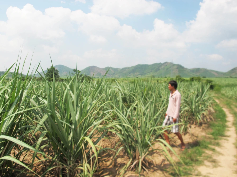 doanh nghiệp chiếm đất của dân