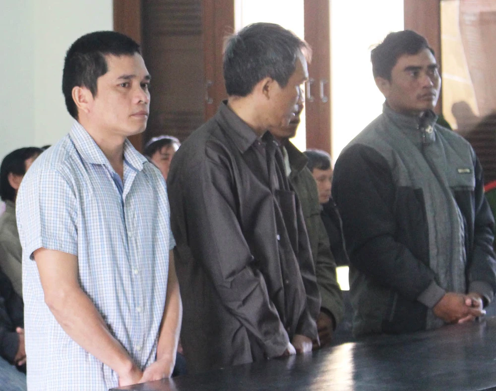 Phú Yên: Điều tra các quan chức tiếp tay phá rừng