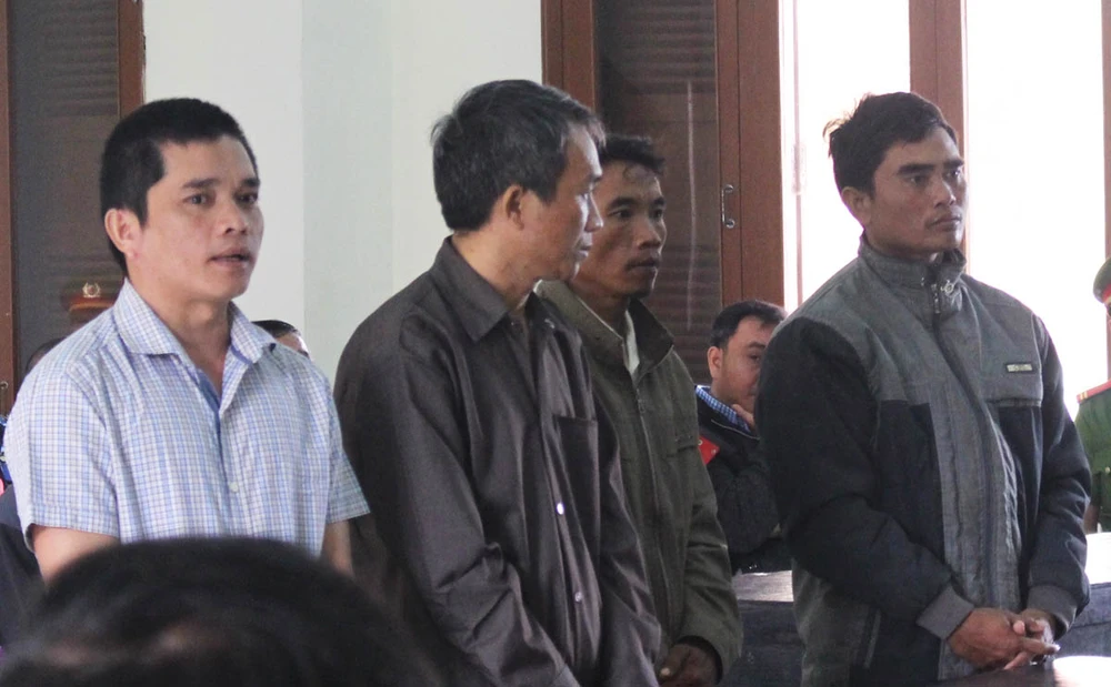 Phú Yên: Điều tra các quan chức tiếp tay phá rừng