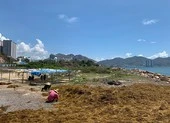 Nhùng nhằng thu hồi dự án lấn biển trái phép ở Nha Trang