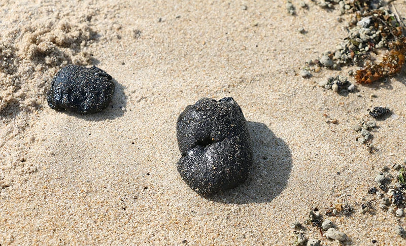 Dầu vón cục dạt vào đen kịt bờ biển Nha Trang ảnh 5