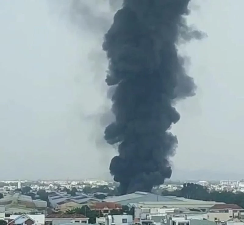 Khó bốc cao hàng trăm mét. Ảnh: QĐ