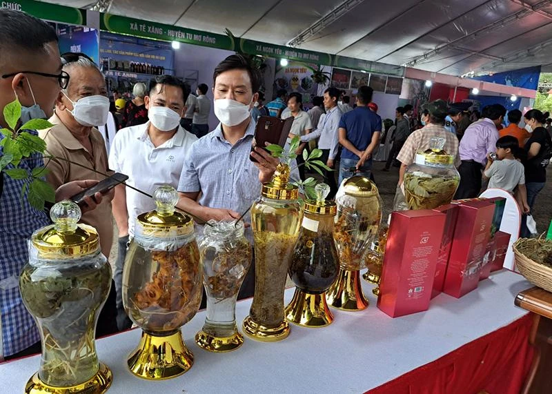 Du khách tìm hiểu về sâm Ngọc Linh. Ảnh: LÊ KIẾN