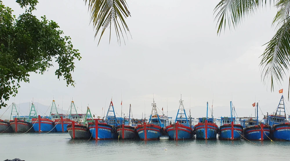 Phú Yên cấm tàu thuyền ra biển từ 15 giờ ngày 26-9. Ảnh: TẤN LỘC