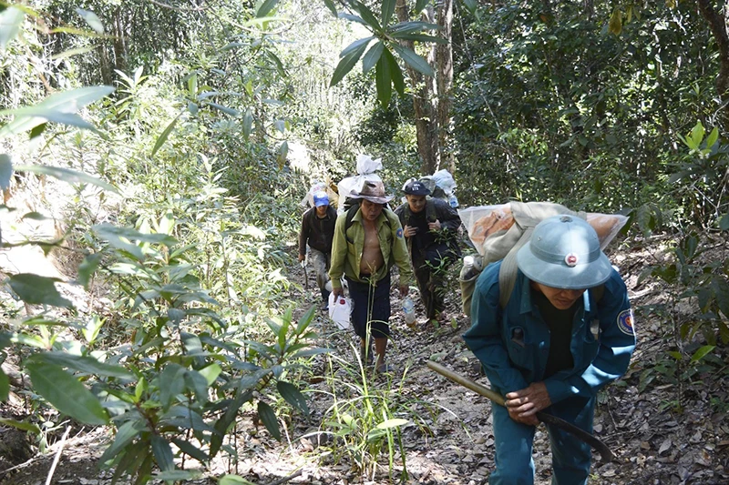 Nhân viên Trung tâm GreenViet cùng lực lượng bảo vệ rừng huyện Đồng Xuân thực hiện cuộc nghiên cứu. Ảnh: LÊ CÔNG TÌNH