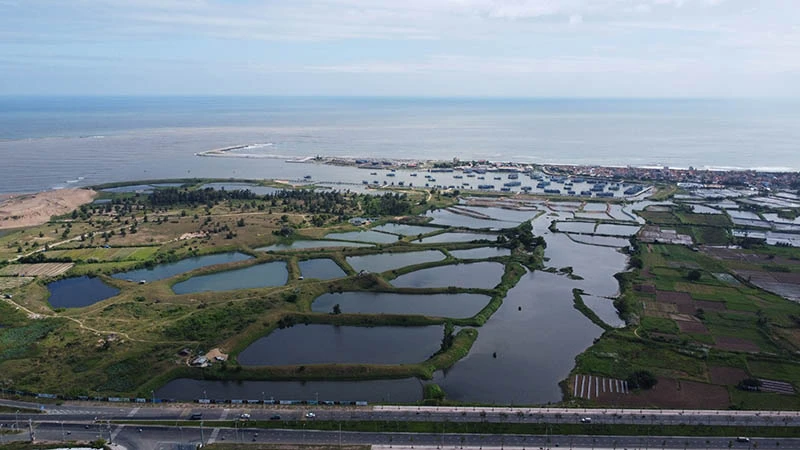 Khu đất thực hiện dự án khu đô thị cao cấp Vườn Phượng Hoàng. Ảnh: MINH KHÔI