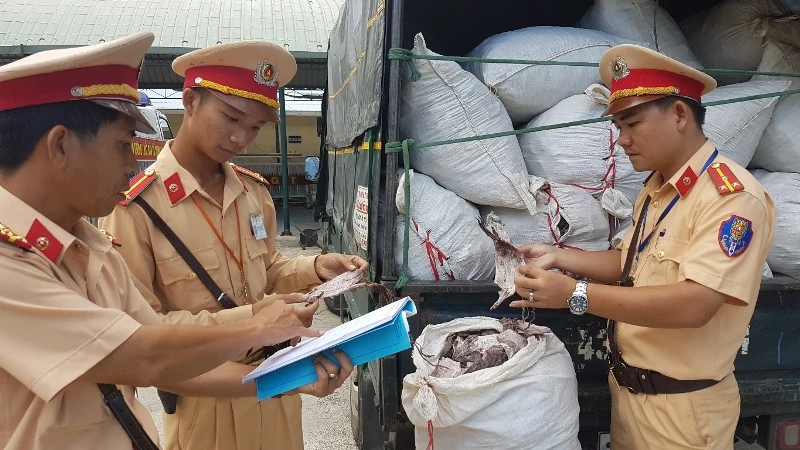 Lực lượng chức năng kiểm tra số mực khô hết đát