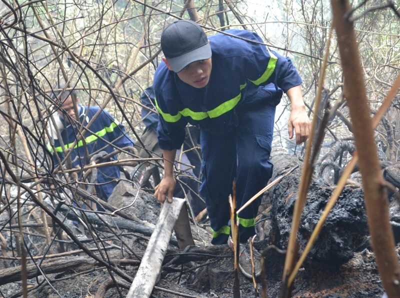  Luồn rừng kéo dây nước vào "trận địa"