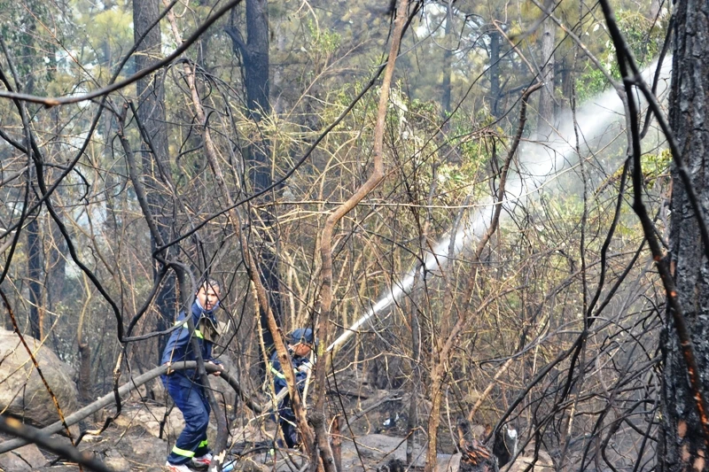Việc kéo dây nước gặp nhiều khó khăn do địa hình và vướng cây bụi