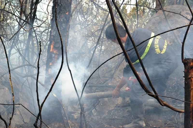 Dùng máy khò để dập lửa cháy âm ỉ trong thân cây