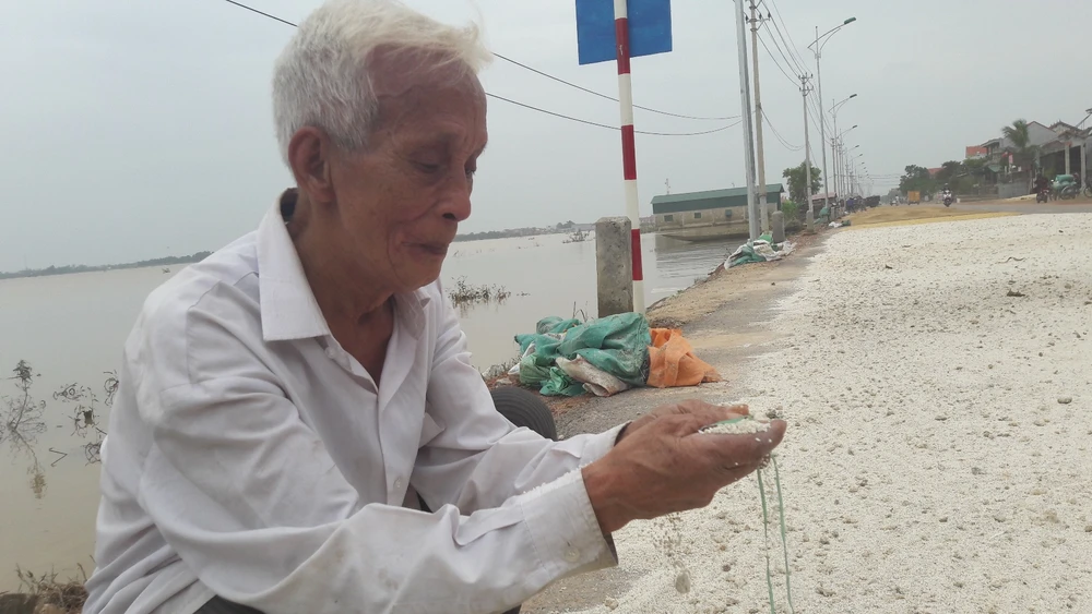 “Lúa bị nước lũ ngâm, nảy mầm hư hết rồi con ơi!“ ảnh 6 “Lúa bị nước lũ ngâm, nảy mầm hư hết rồi con ơi!“ ảnh 6