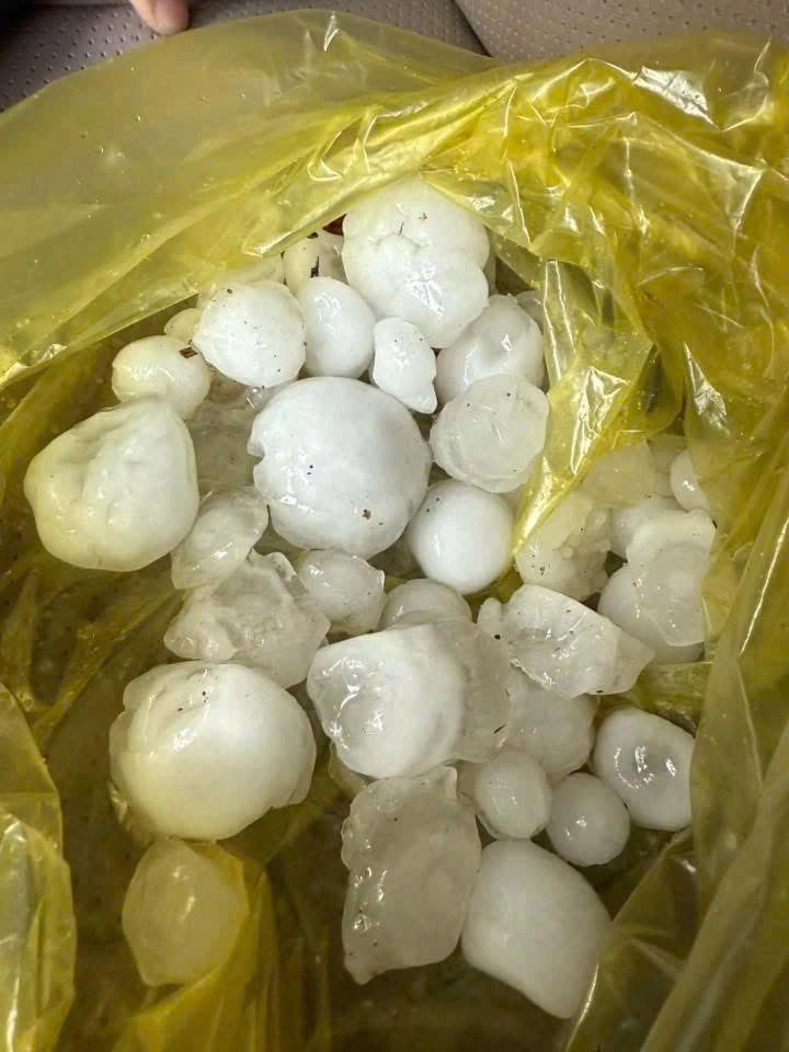 Trận mưa đá vừa xảy ra tại địa bàn tỉnh Hà Giang làm hư hỏng nhà cửa, hoa màu của người dân.