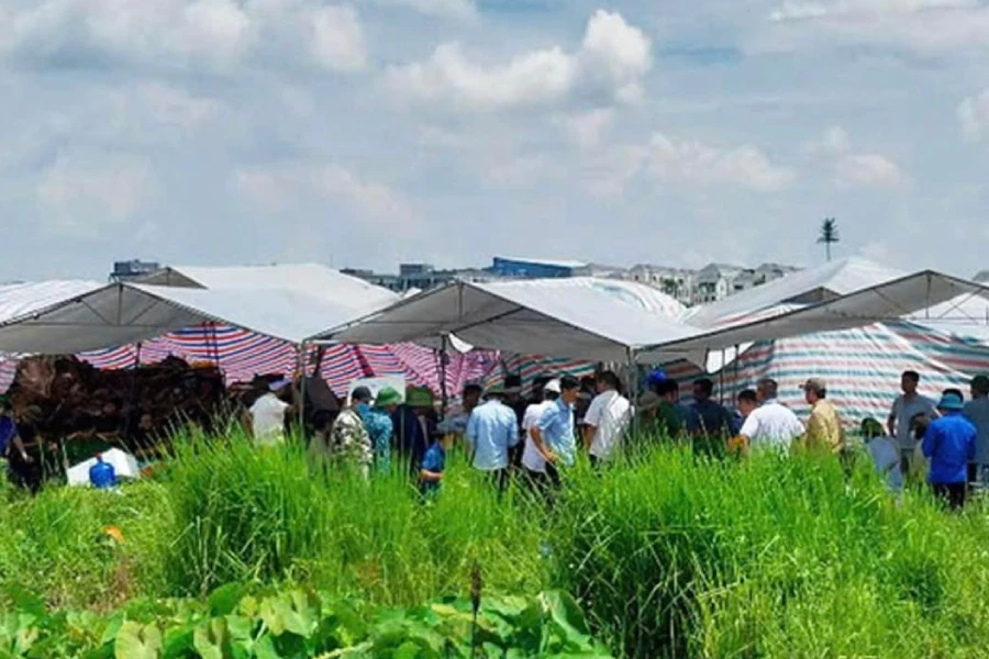 Vụ máy xúc đào trúng mồ mả ở Hưng Yên: Khởi tố vụ án, khởi tố 1 bị can