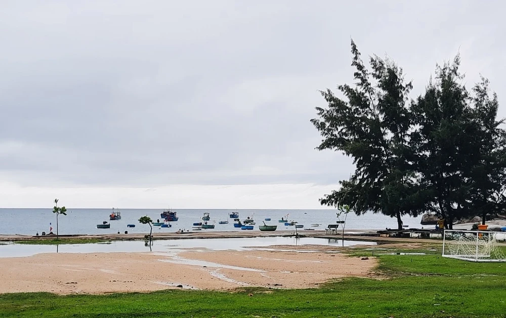 dừng vận chuyển hành khách