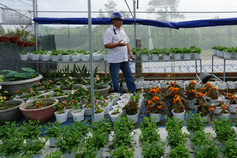 lang-hoa-binh-dinh-thich-ung-voi-mua-lu (1).jpg