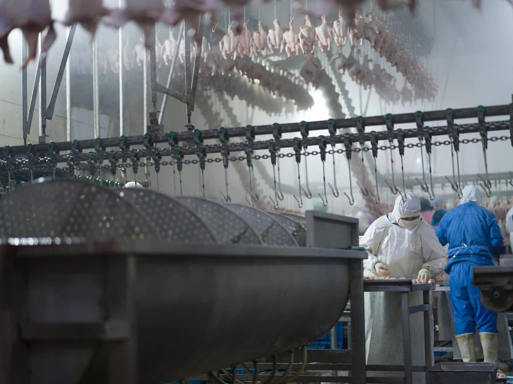 Bức ảnh của nhiếp ảnh gia người Trung Quốc Lưu Minh Thụy ở hạng mục dự án phim tài liệu. Ảnh: SONY WORLD PHOTOGRAPHY AWARDS 2023