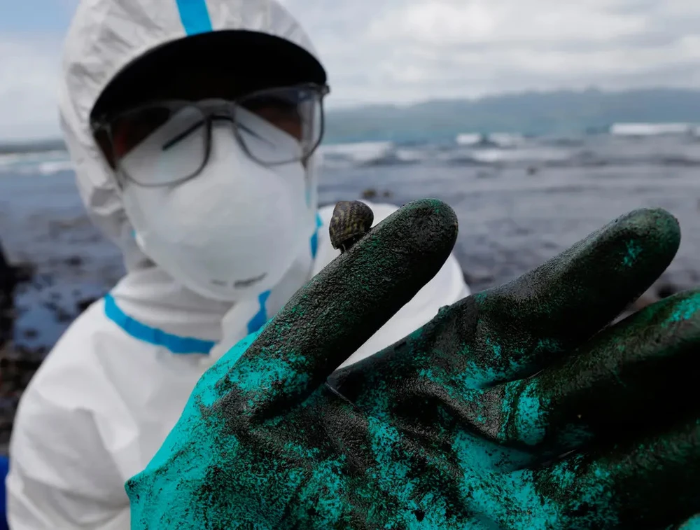 Con ốc sên trên găng tay của một tình nguyện viên môi trường đang dọn dẹp bờ biển ở thị trấn Pola. Ảnh: EPA