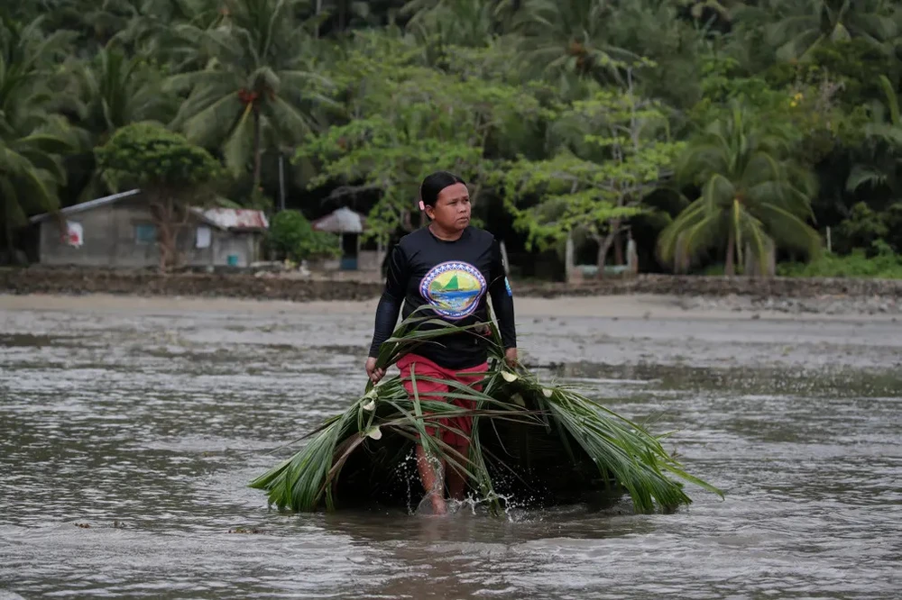 Một người dân làng thu thập lá dừa để giúp xây dựng hàng rào tạm thời bên bãi biển chống dầu tràn vào bờ. Ảnh: EPA