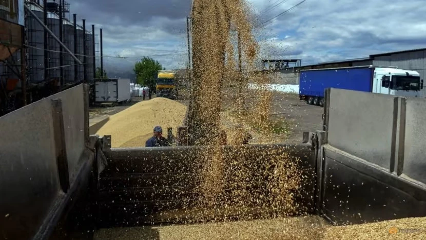 Công nhân chất ngũ cốc lên xe tải ở cảng Odesa (Ukraine) ngày 23-6-2022. Ảnh: REUTERS