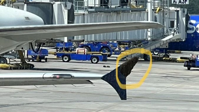 Đàn ong đậu trên cánh máy bay thực hiện chuyến bay Delta 1682. Ảnh: TWITTER