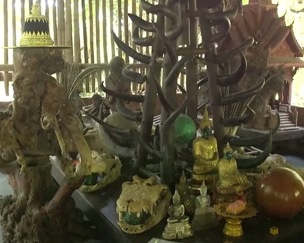 thai-lan-dieu-tra-mot-tu-vien-vi-su-dung-thi-the-de-thien-dinh (1).jpg