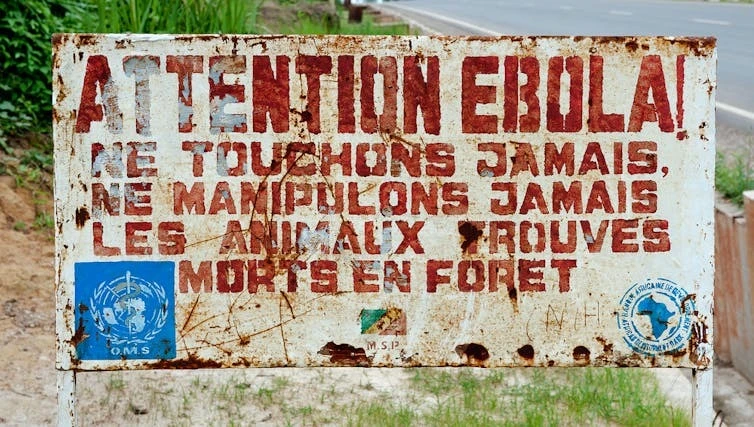 Mỹ muốn rút khỏi WHO, chuyện gì tiếp theo?