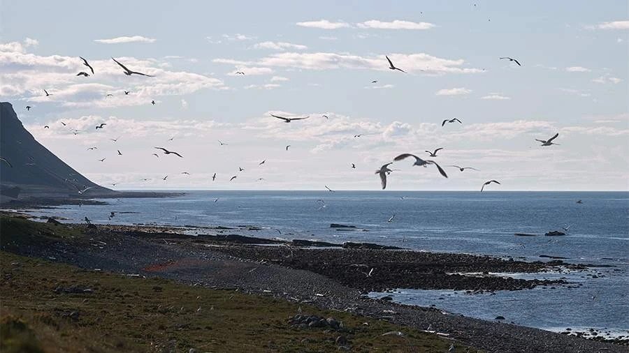 khu vực Biển Barents