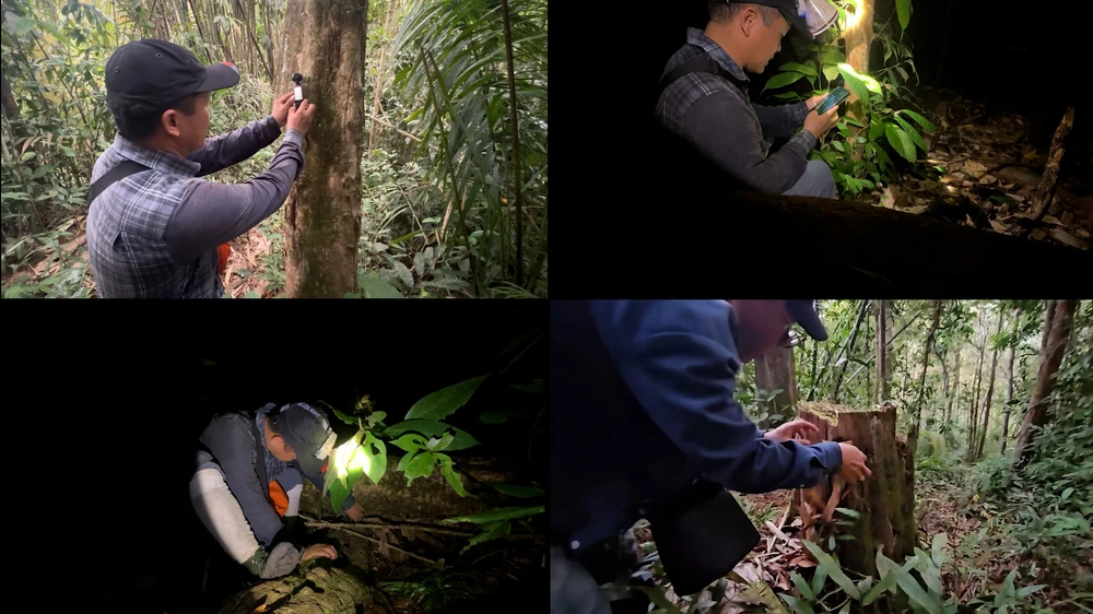 pv đặt camera (3).jpg