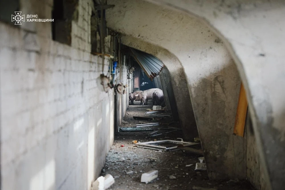 Chiến sự Nga - Ukraine 4-10