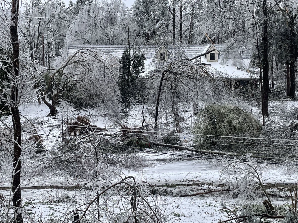 Bão tuyết tại Mỹ: 21 người chết, mất điện trên diện rộng