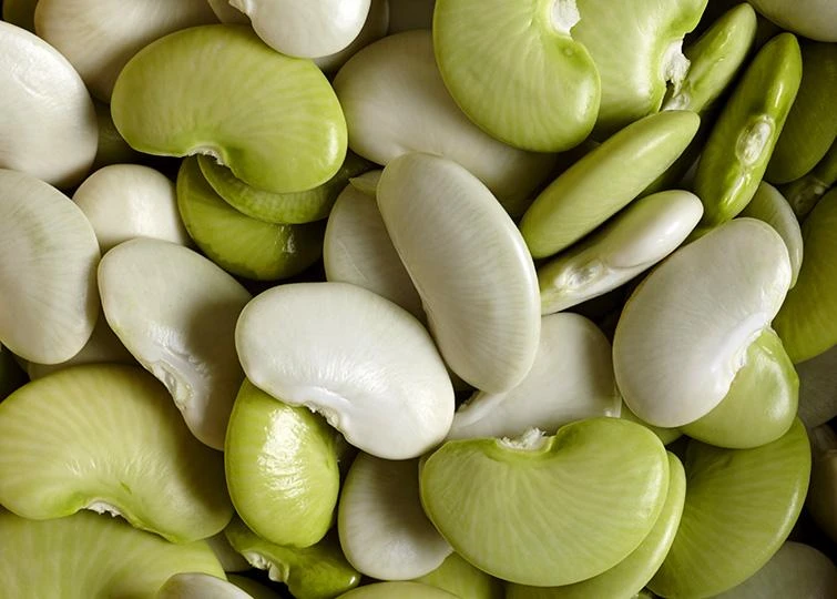 Lợi ích không ngờ của thực phẩm giàu chất xơ ảnh 6