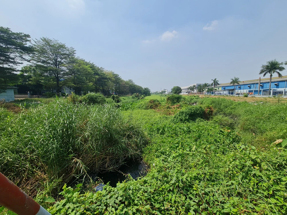 Nhiều đoạn kênh bị cỏ che phủ bít hết dòng chảy.