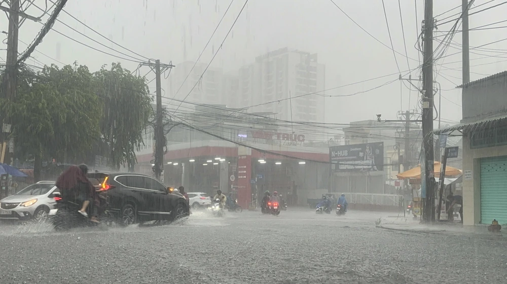 Sông Đồng Nai.JPG