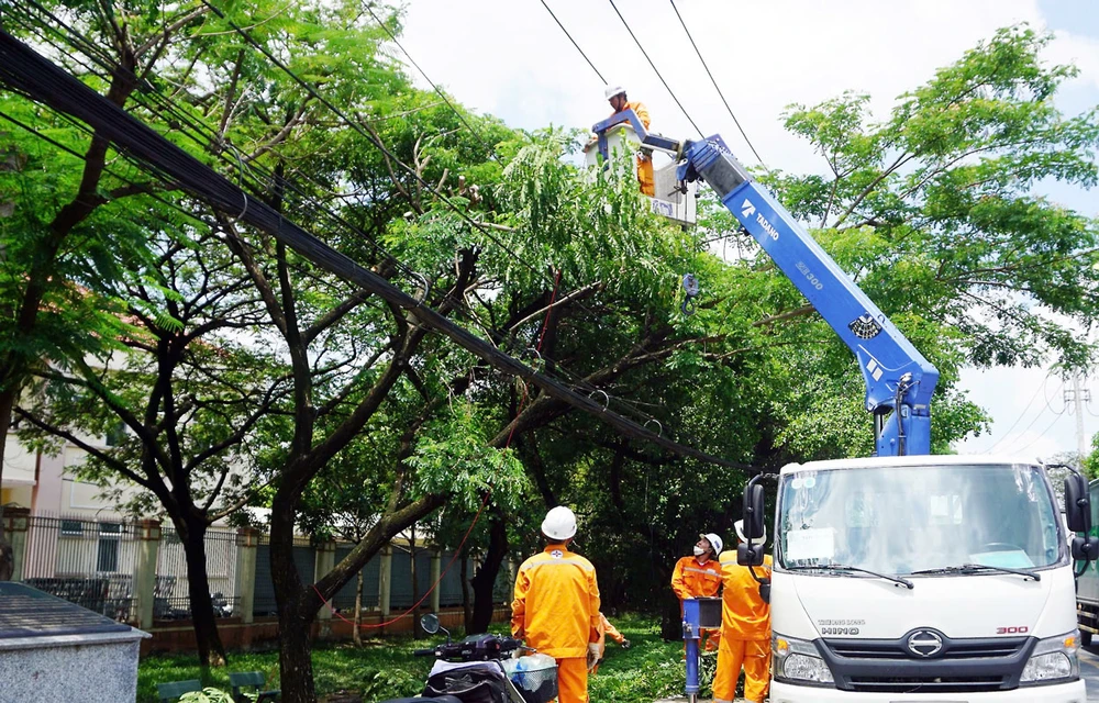 Công nhân ngành điện xử lý nhánh cây để đảm bảo an toàn điện mùa mưa, bão. Ảnh: EVNHCMC