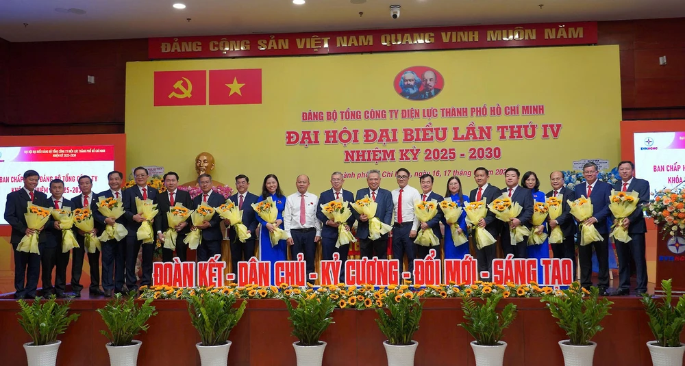 Điện lực TP.HCM.JPG