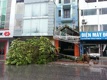 Khẩn cấp di dời 10 nghìn hộ dân tránh bão số 2 ảnh 3