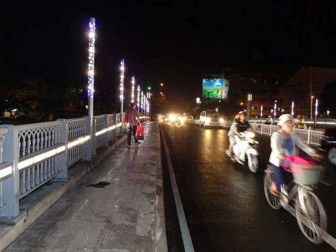 Lung linh sắc màu cầu Lê Văn Sỹ ảnh 2