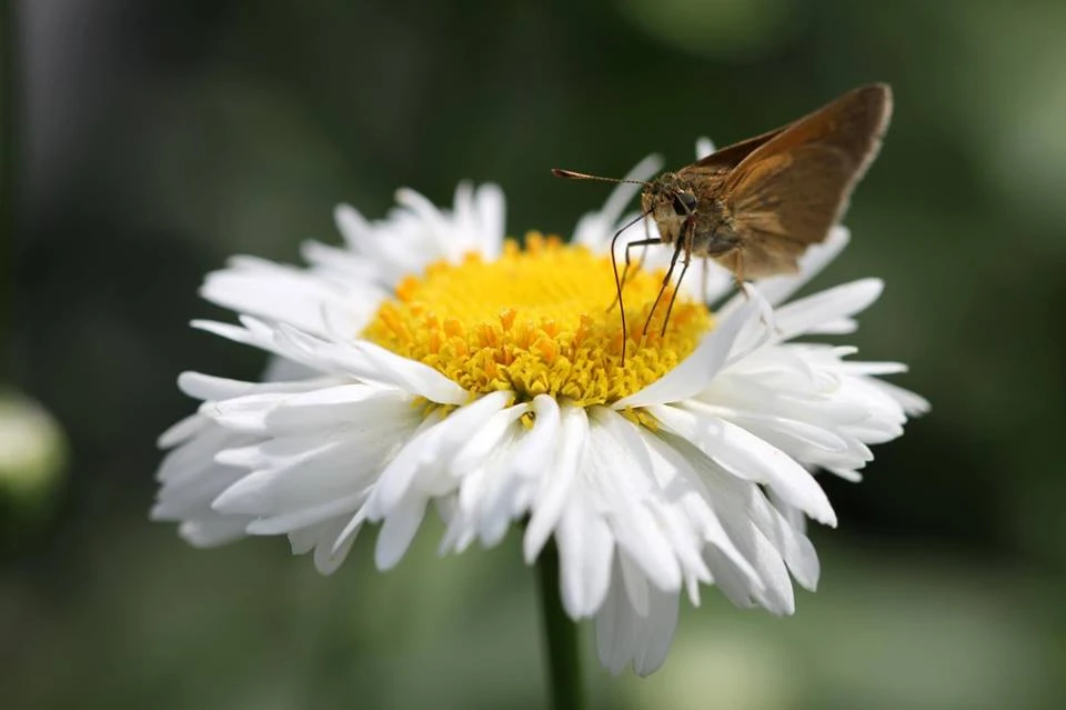 Từ ghen sang hận ảnh 1