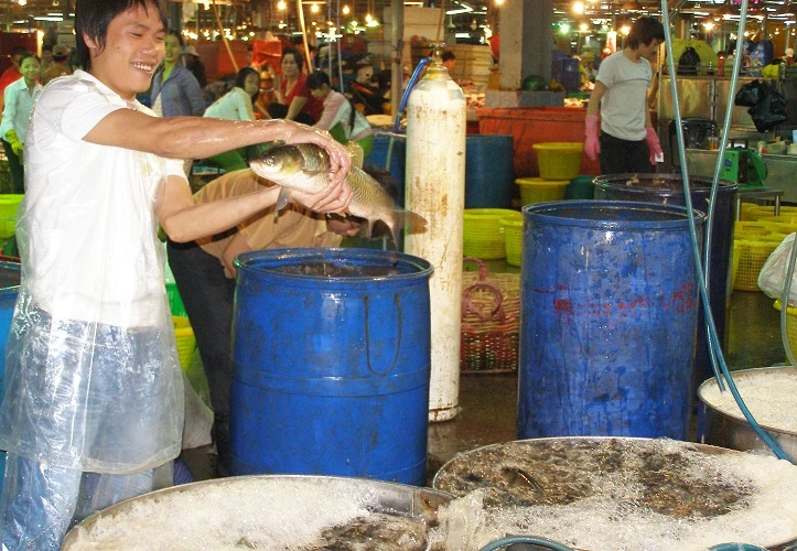 Chủ động phòng chống ngộ độc thực phẩm ảnh 2