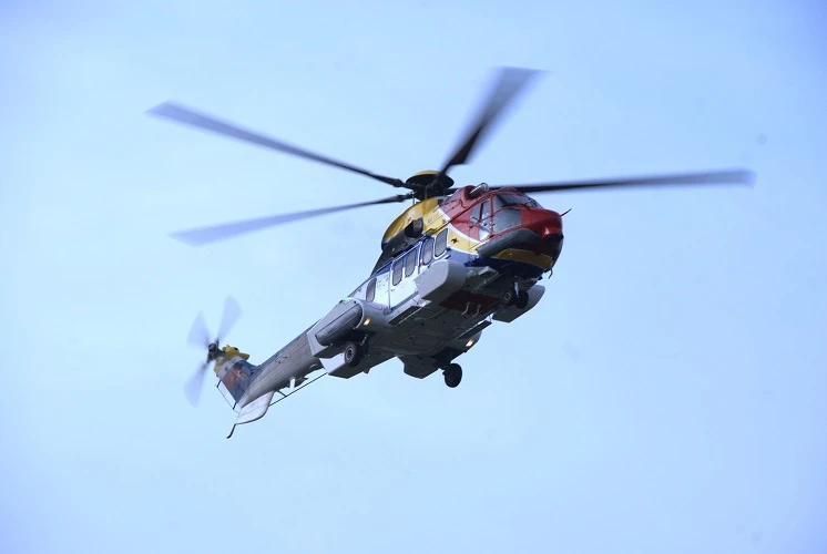 Cánh bay mùa xuân ảnh 6